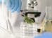 bon produit anti-THC